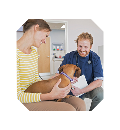 RSPCS-Pet-dog-owner-in-vet-surgery-waiting-room-reception
