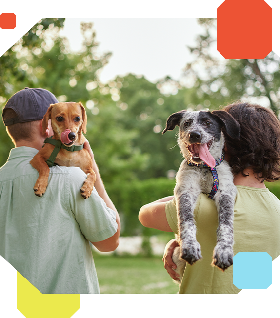 rspca-adopt-a-pet