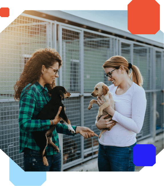 rspca-team-demo-image