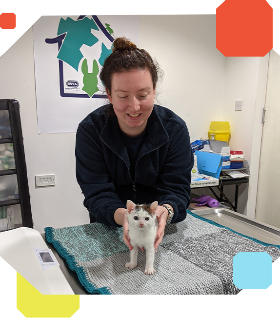 rspca-welfare-clinic